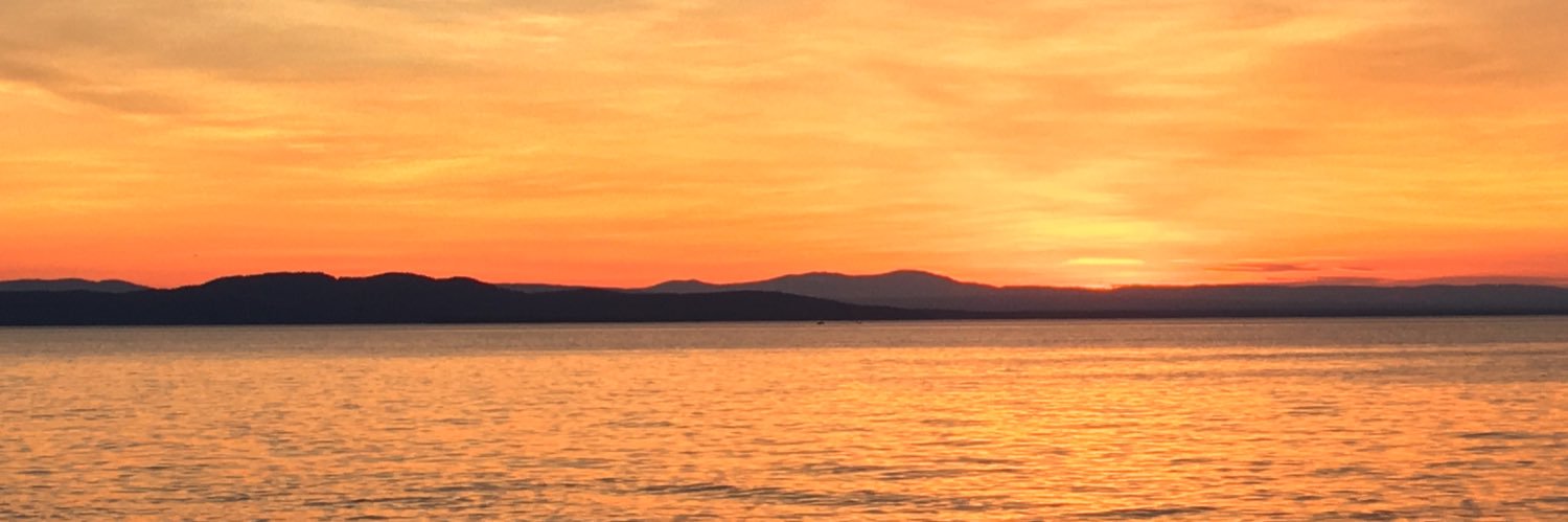 casereag's profile banner image