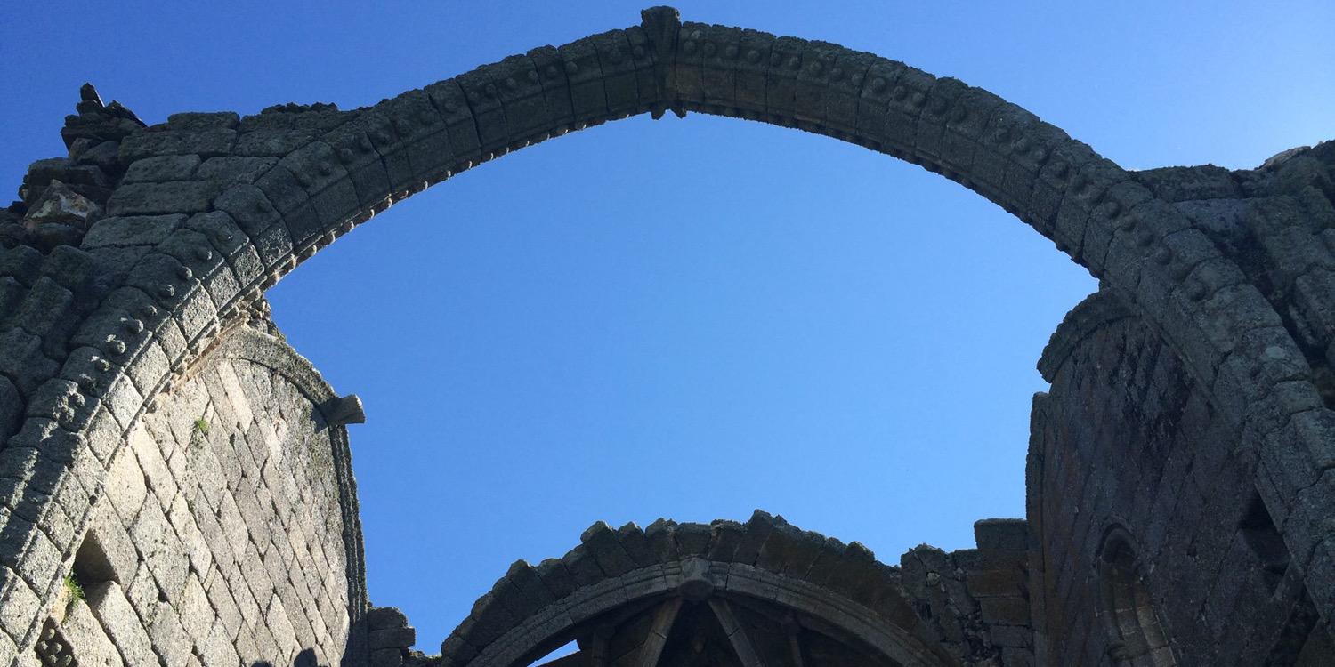 Nieves  Moro Tejedor banner