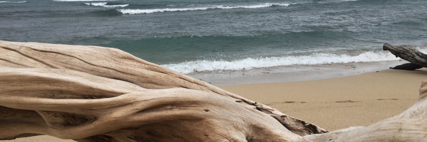 MrsTobin1's profile banner image