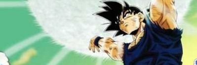 lunita banner