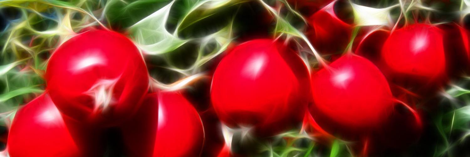 Evil_queenMayor's profile banner image