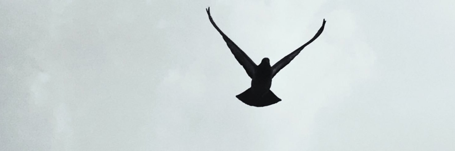 salem_MG's profile banner image