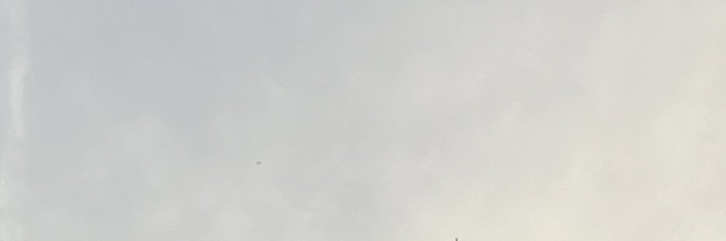 beasoriac's profile banner image