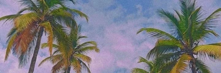 Diego Manuel banner