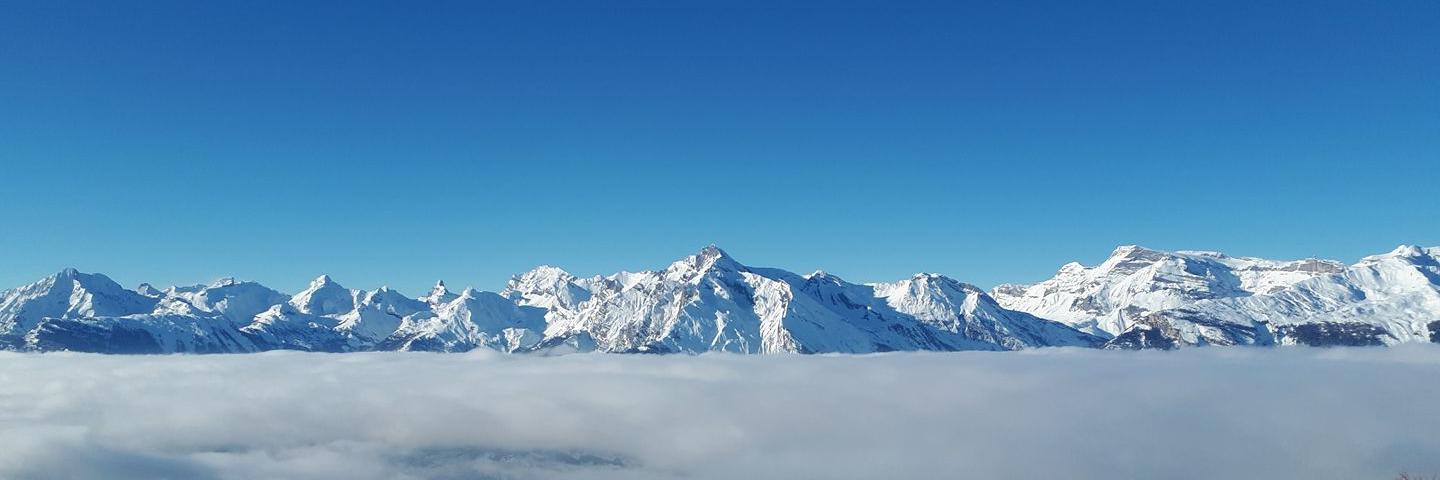 Patrick Gaule banner