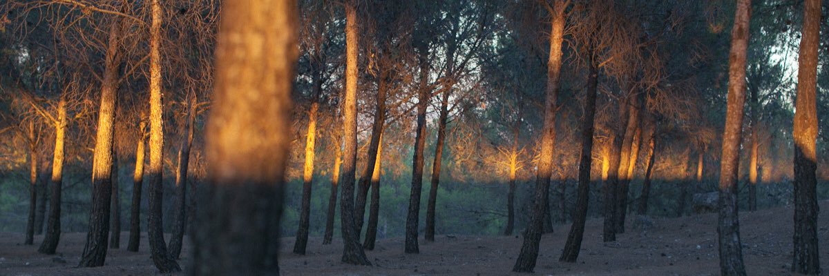 joebuggg's profile banner image