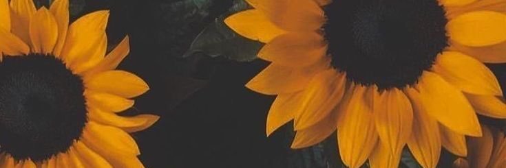 marina8_8's profile banner image