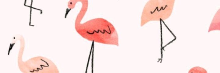 owliess's profile banner image