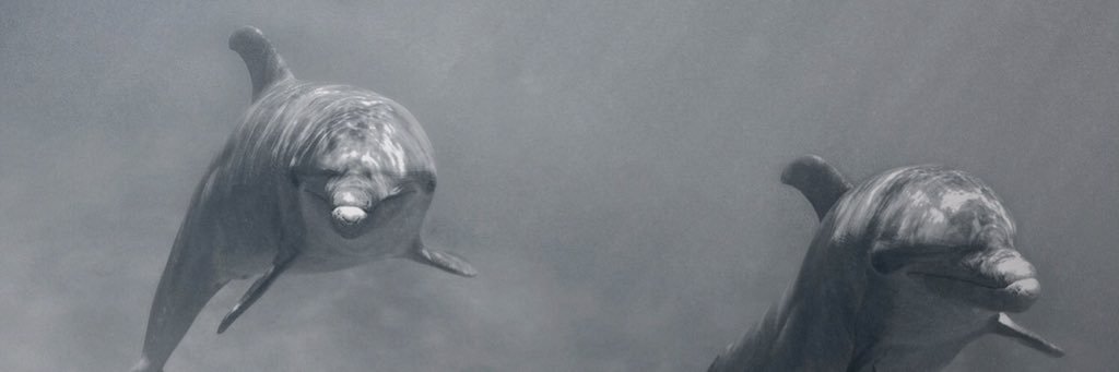 astead17's profile banner image