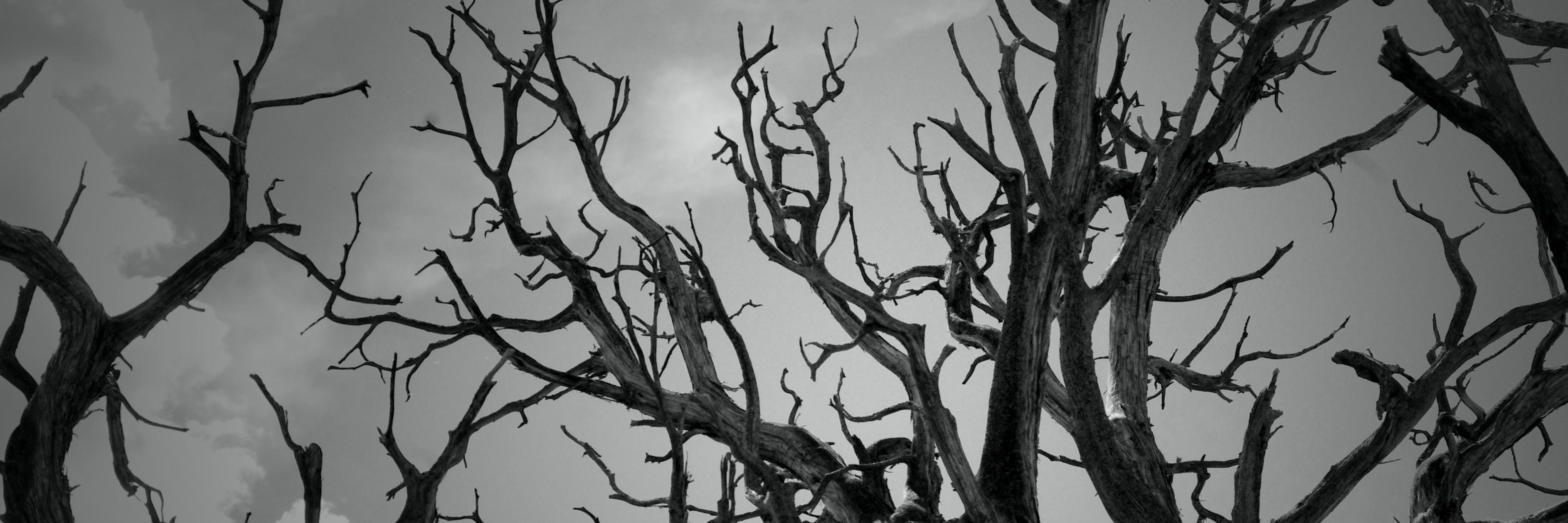 Valentin_dlg's profile banner image