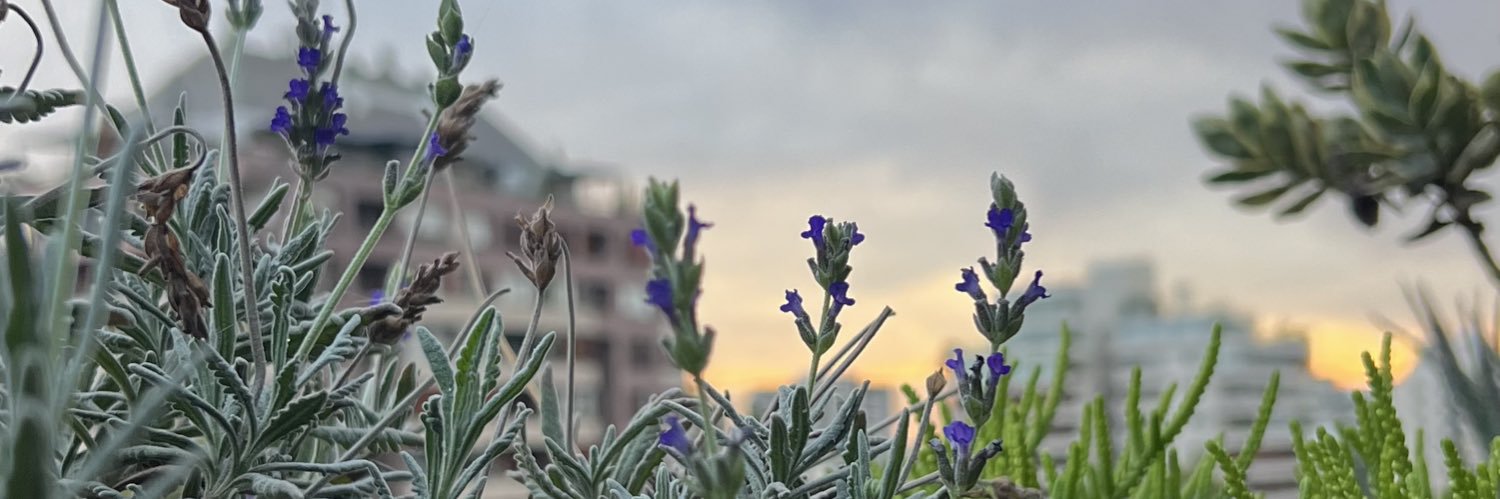 maxtinez's profile banner image