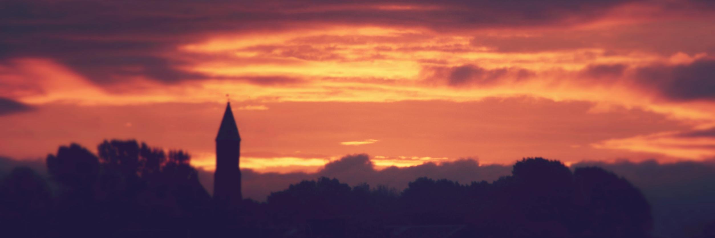 TomRothwell92's profile banner image