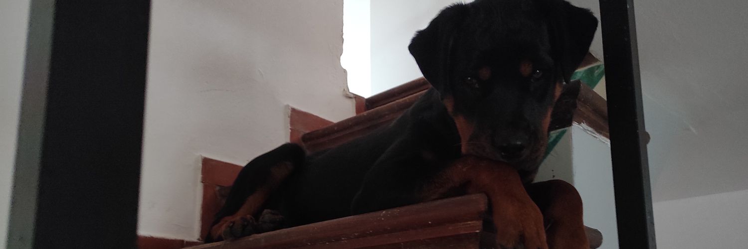 CarlosML27's profile banner image