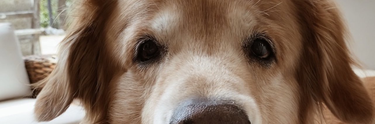 austin_jesus_'s profile banner image