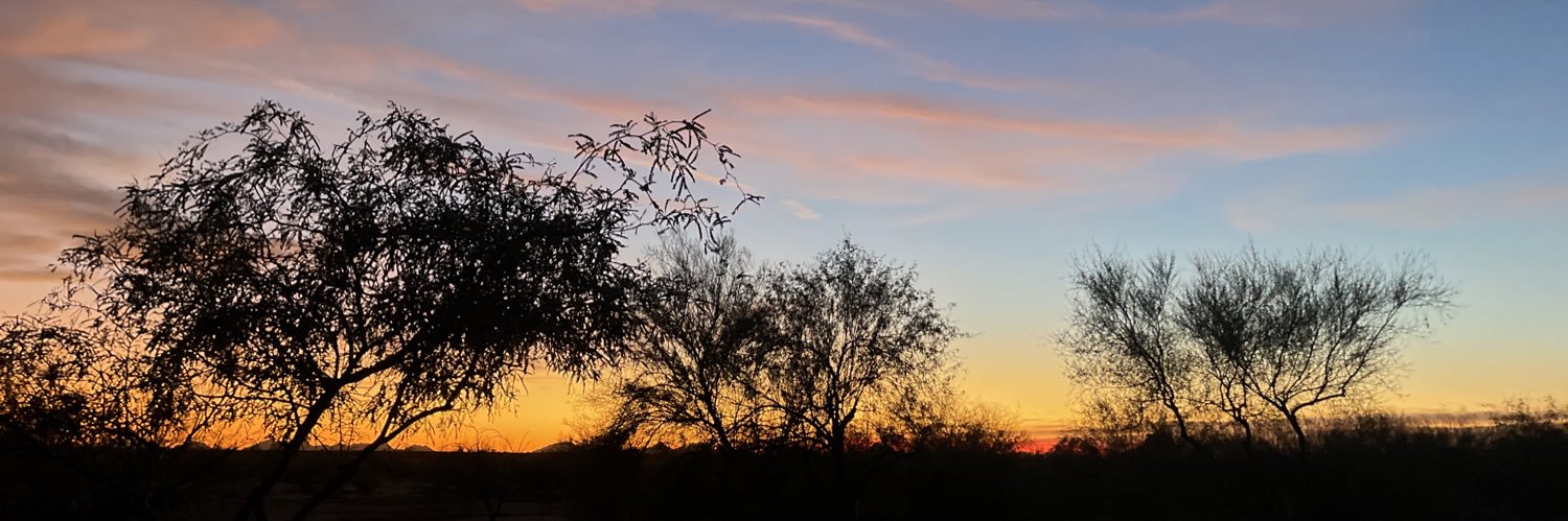 💜💜🌵🌵💜💜Arizona banner