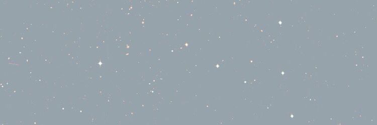 bárbara banner