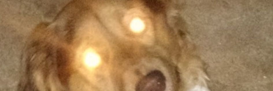 Xodinsoji's profile banner image