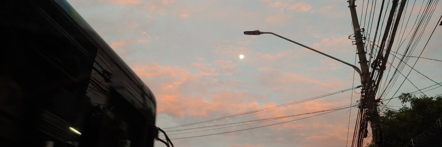 flvznn's profile banner image