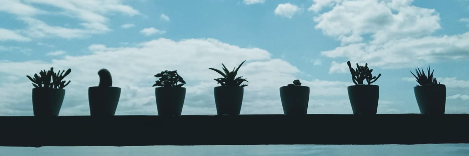 ylycLeon's profile banner image