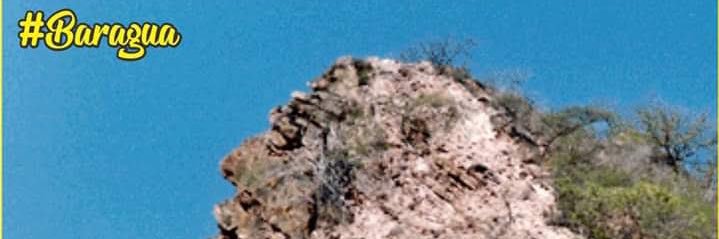 chamoadames's profile banner image