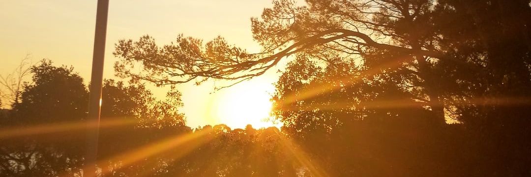 _noeliaS17's profile banner image