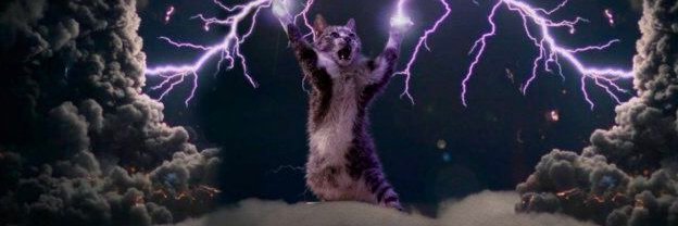 whiskers 🖤 banner