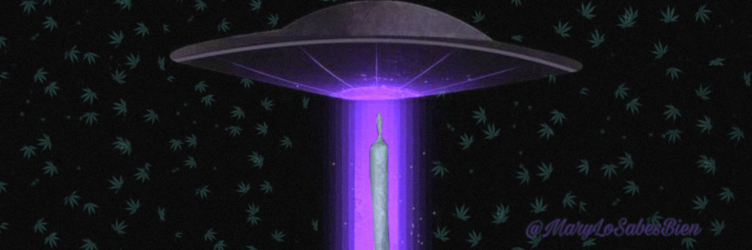 MaryLoSabesBien's profile banner image