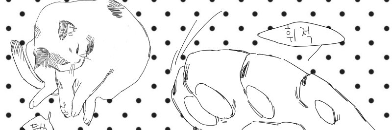 CoinDroppings's profile banner image