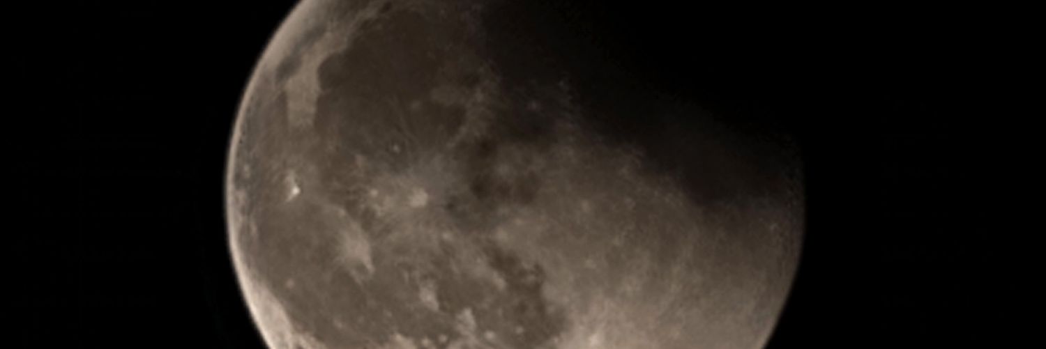 Zora_Lynn's profile banner image