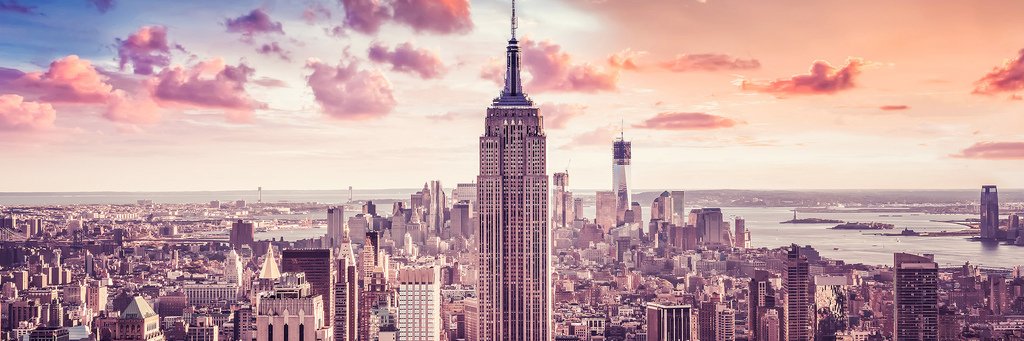 marie  j. park banner