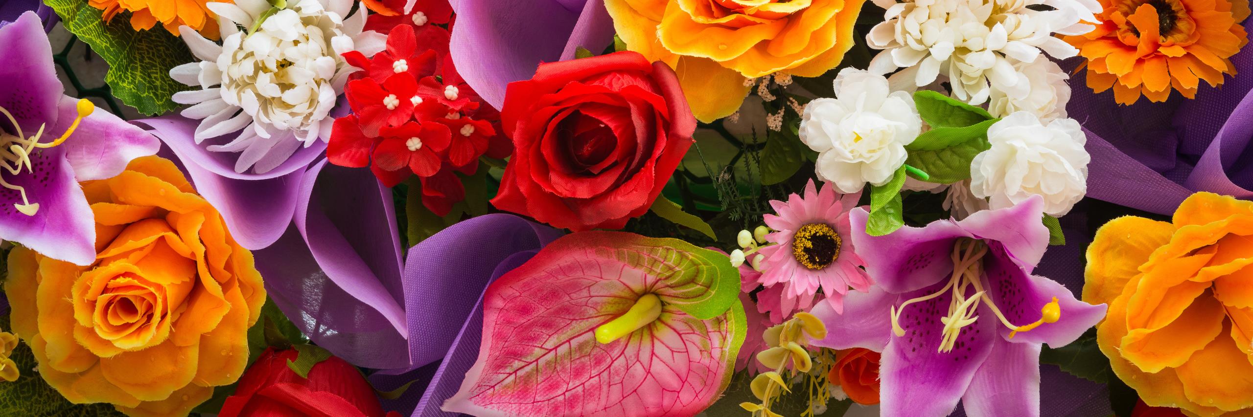 Pretty_FIowers's profile banner image