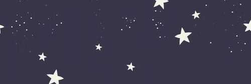 Diana VeraRoa banner