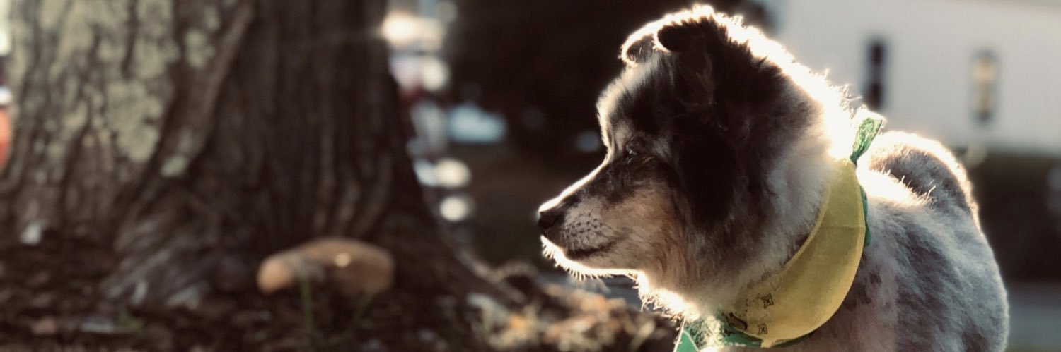 K_loweee1's profile banner image