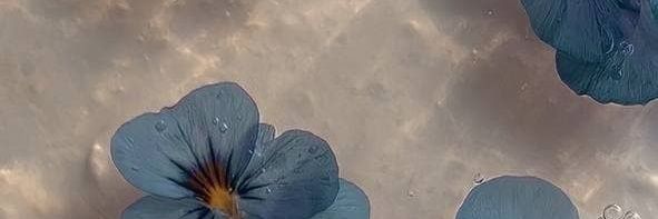 sweethard 🪷 banner