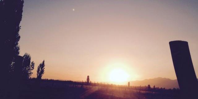 Conti_Rodriguez's profile banner image