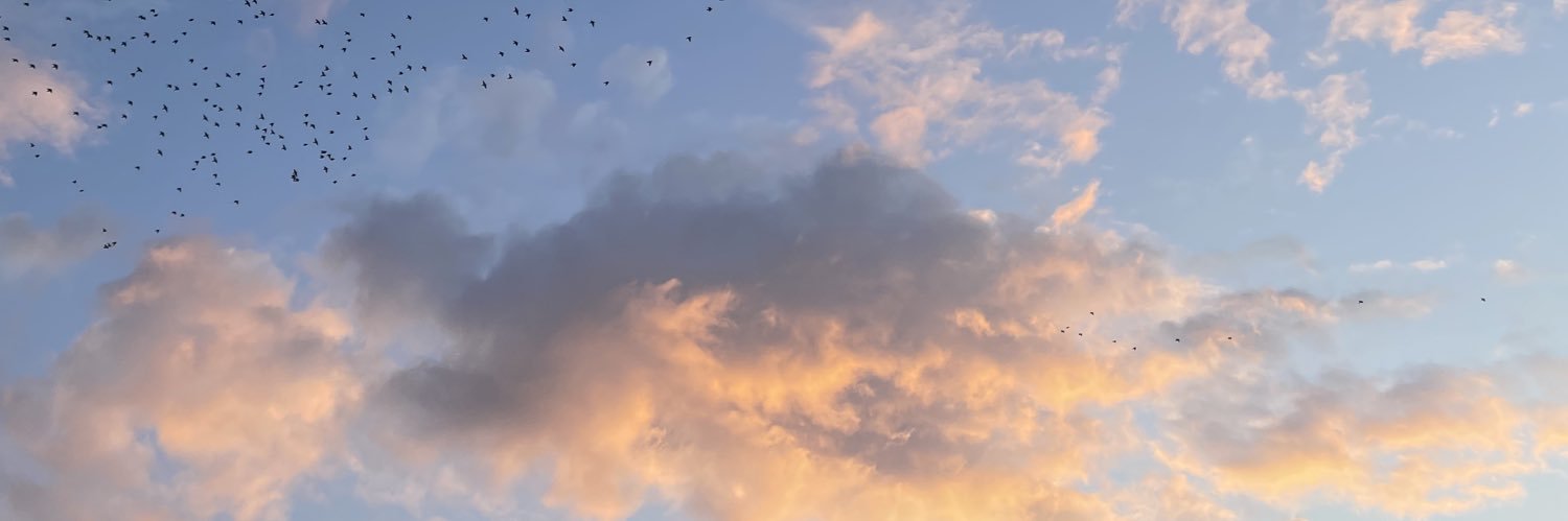 dariadreams_'s profile banner image