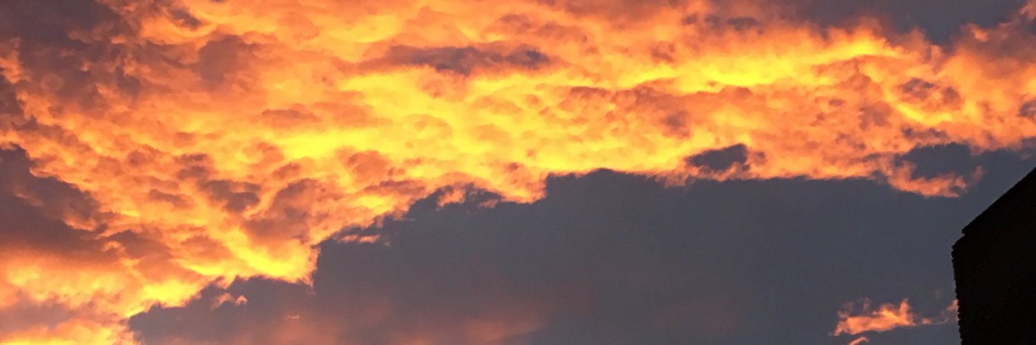 fercastanon01's profile banner image