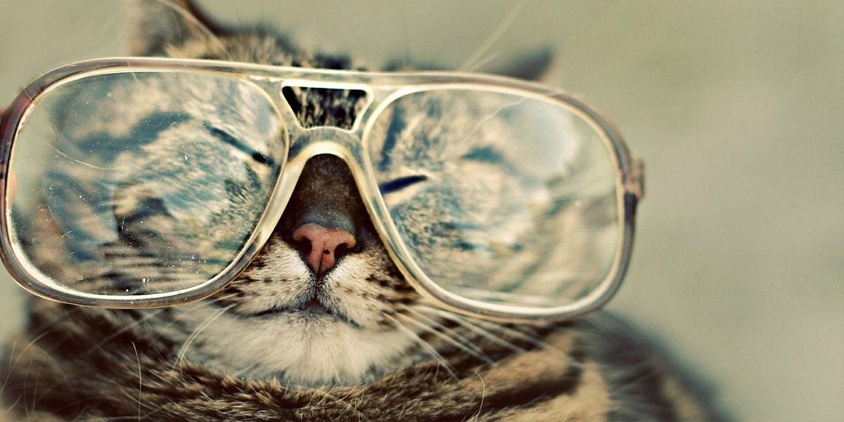 Sharyn Jackson banner