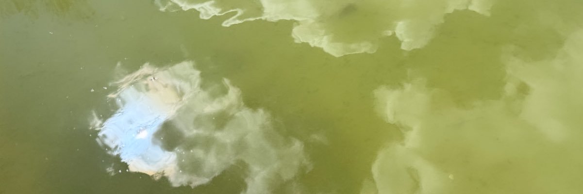 dlcblove's profile banner image