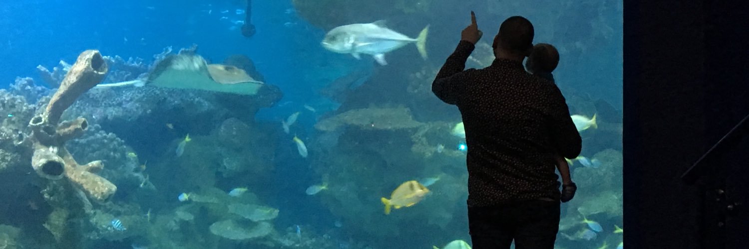 vickilauren's profile banner image
