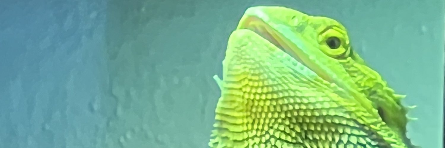 carlishea's profile banner image