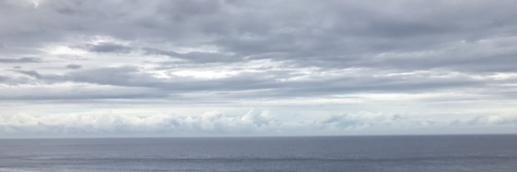 AlwynFoster's profile banner image