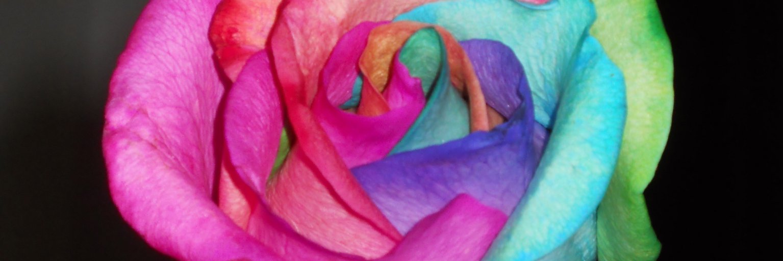 TeenyLavin's profile banner image