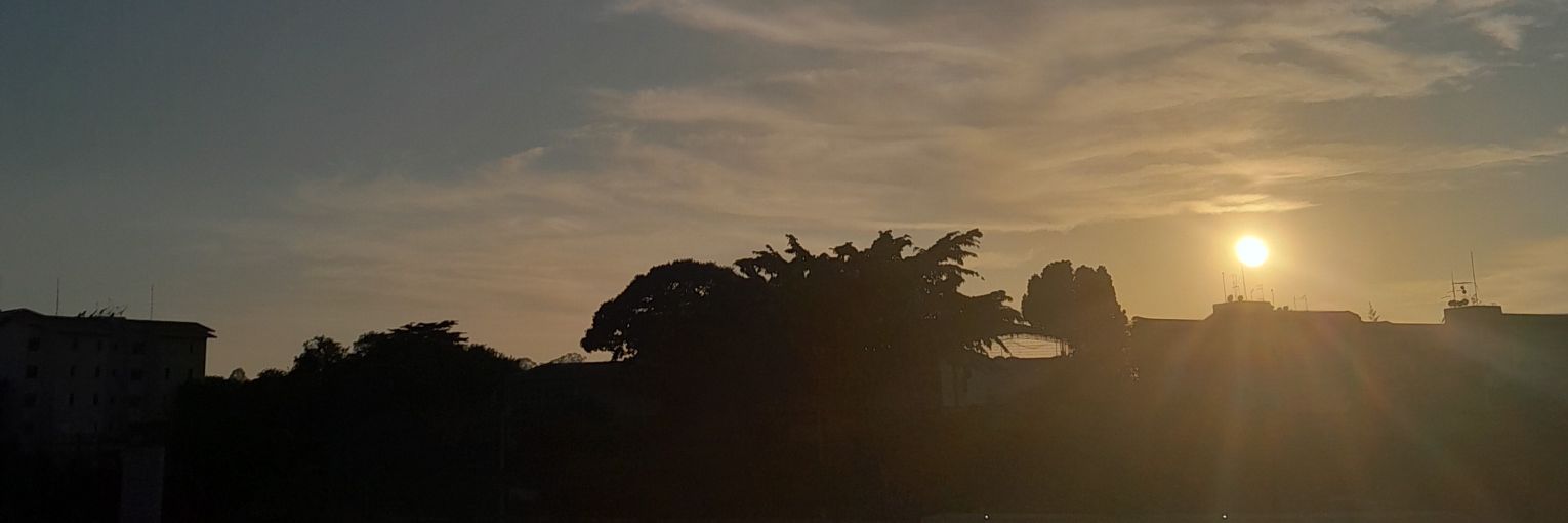 pesadelico's profile banner image