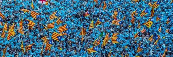 peterpancha9's profile banner image