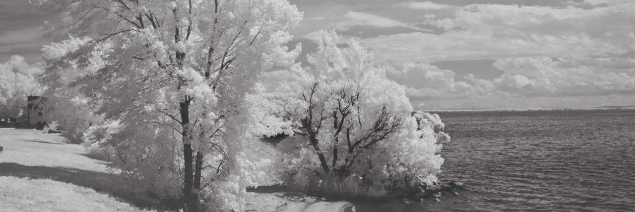AddingtonAngela's profile banner image