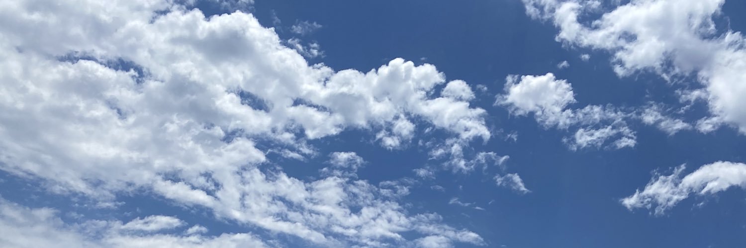 Lifted_NewFOs's profile banner image