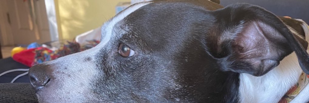 typolad's profile banner image