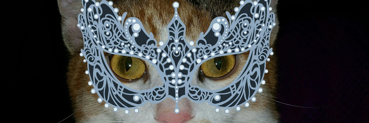 LisaRonk's profile banner image