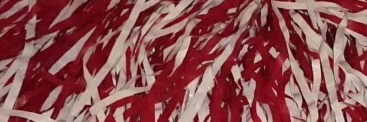 Bama_Report's profile banner image